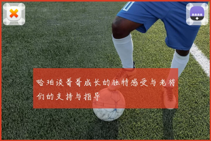 哈珀谈哥哥成长的独特感受与老将们的支持与指导